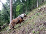 ../thumbnails/050-P1020422-R2.jpeg.small.jpeg