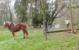 ../thumbnails/012-Concours-debardage-Cibeins-2013-13.jpeg.small.jpeg