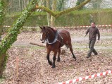 ../thumbnails/018-Concours-debardage-Cibeins-2013-19.jpeg.small.jpeg