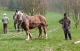 ../thumbnails/022-Concours-debardage-Cibeins-2013-23.jpeg.small.jpeg