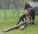 ../thumbnails/024-Concours-debardage-Cibeins-2013-25.jpeg.small.jpeg