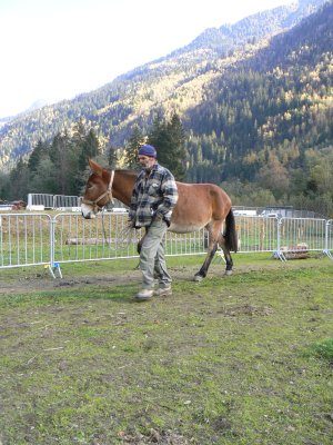 028-contamines-2007-029.jpg.medium.jpeg