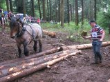 019-IMG_6182.jpg.small.jpeg