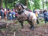 020-IMG_6184.jpg.small.jpeg