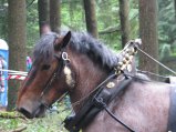 021-IMG_6185.jpg.small.jpeg