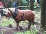 023-IMG_6195.jpg.small.jpeg