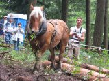024-IMG_6201.jpg.small.jpeg