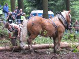025-IMG_6204.jpg.small.jpeg