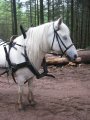 026-IMG_6205.jpg.small.jpeg