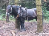 031-IMG_6217.jpg.small.jpeg