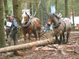 033-IMG_6219.jpg.small.jpeg