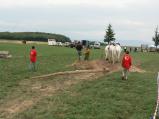 img044.jpeg.small.jpeg