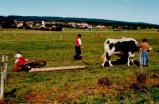 img020.jpeg.small.jpeg