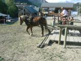 img020.jpeg.small.jpeg