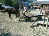 img021.jpeg.small.jpeg
