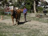 img035.jpeg.small.jpeg