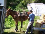 009-b-dimanche-01.jpg.small.jpeg