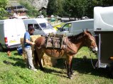 010-b-dimanche-02.jpg.small.jpeg