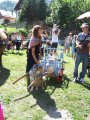 017-chien-06.jpg.small.jpeg