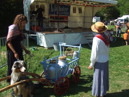 018-chien-10.jpg.medium.jpeg