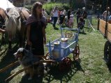 023-chien-21.jpg.small.jpeg