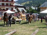 030-defile-04.jpg.small.jpeg