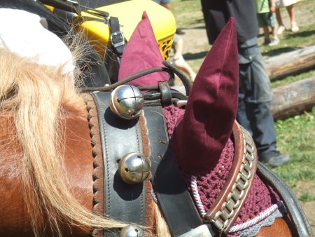 036-defile-10.jpg.medium.jpeg