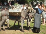 039-defile-13.jpg.small.jpeg