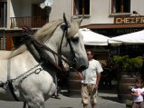 057-defile-32.jpg.small.jpeg