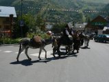 064-defile-89.jpg.small.jpeg