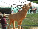 066-defile-92.jpg.small.jpeg