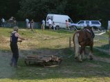 075-e-dimanche-12.jpg.small.jpeg