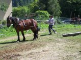 078-e-dimanche-18.jpg.small.jpeg
