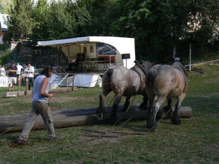 085-e-dimanche-32.jpg.medium.jpeg