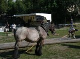 086-e-dimanche-34.jpg.small.jpeg