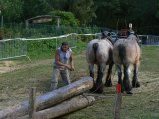 090-e-dimanche-40.jpg.small.jpeg