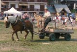 094-e-dimanche-50.jpg.small.jpeg