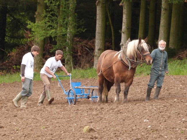 ../previews/011-maraichage-Hippotese-2012-012.jpeg.medium.jpeg