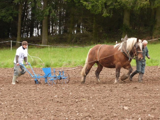 ../previews/017-maraichage-Hippotese-2012-018.jpeg.medium.jpeg