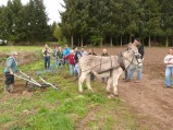 thumbnails/003-maraichage-Hippotese-2012-004.jpeg.small.jpeg