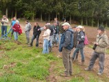 thumbnails/004-maraichage-Hippotese-2012-005.jpeg.small.jpeg