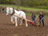 thumbnails/005-maraichage-Hippotese-2012-006.jpeg.small.jpeg