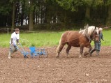 ../thumbnails/017-maraichage-Hippotese-2012-018.jpeg.small.jpeg