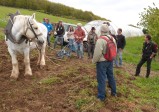 ../thumbnails/021-maraichage-Hippotese-2012-022.jpeg.small.jpeg