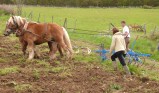 ../thumbnails/023-maraichage-Hippotese-2012-024.jpeg.small.jpeg