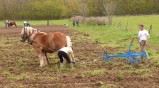 ../thumbnails/024-maraichage-Hippotese-2012-025.jpeg.small.jpeg