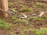 ../thumbnails/025-maraichage-Hippotese-2012-026.jpeg.small.jpeg