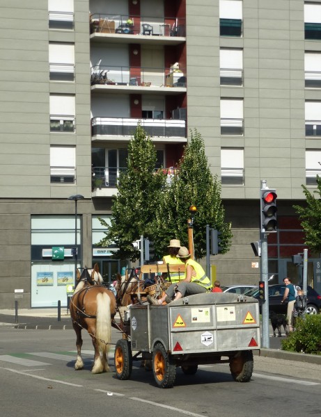 ../previews/013-Equipage-Grenoble-juillet-2013-14.jpeg.medium.jpeg