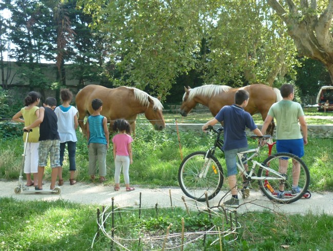 ../previews/035-Equipage-Grenoble-juillet-2013-36.jpeg.medium.jpeg