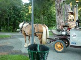 ../thumbnails/014-Equipage-Grenoble-juillet-2013-15.jpeg.small.jpeg